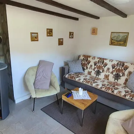 Ferienhaus Auerswald Daire Auerbach (Erzgebirgskreis)